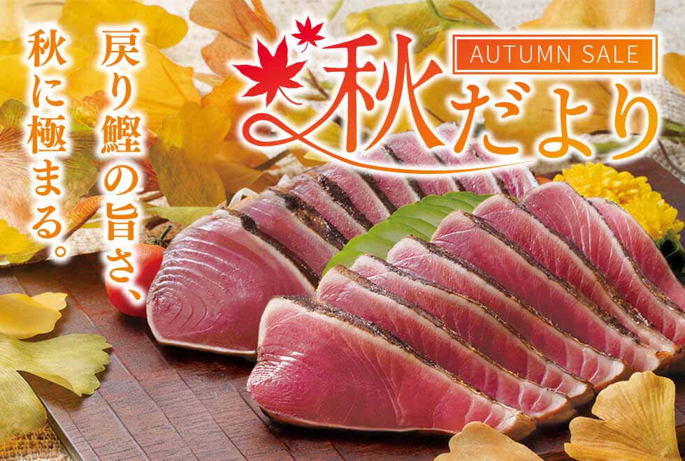 秋だより2025 戻り鰹のうまさ、秋に極まる