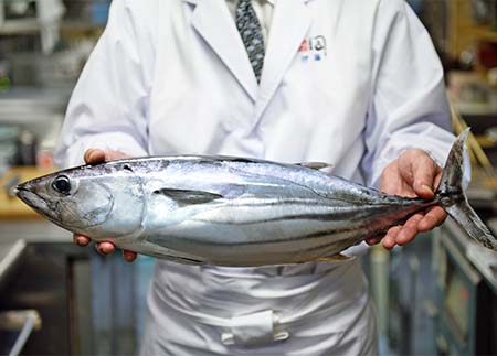 秋の格別の美味しさ旬の「戻り鰹」