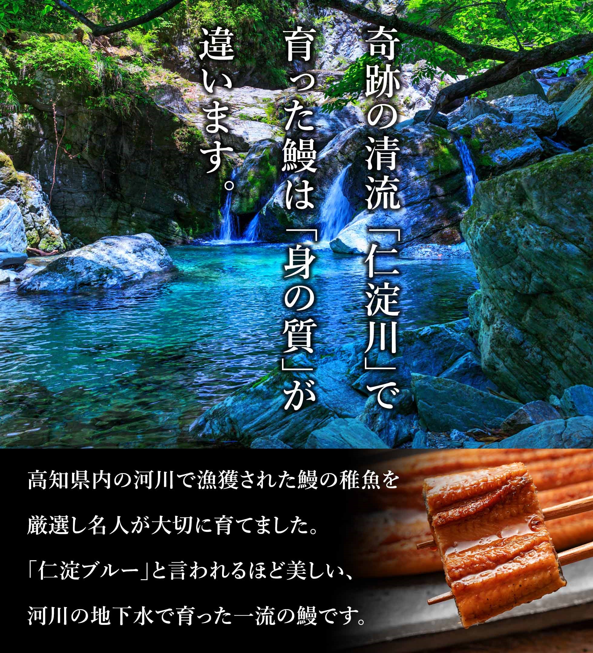 仁淀川で育った鰻は「身の質」が違います。