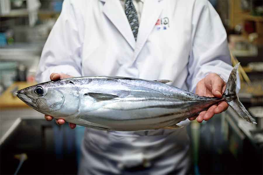 「DHA」「EPA」が豊富