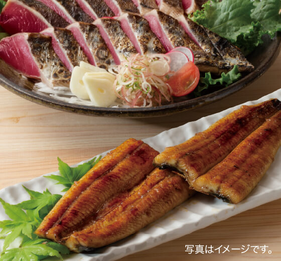 土佐の限定特別セット