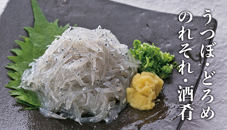 うつぼ どろめ のれそれ 酒肴 土佐料理 司 つかさ 祢保希 ねぼけ 公式通販