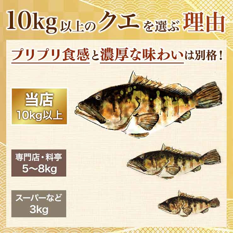 10kg以上のクエを選ぶ理由