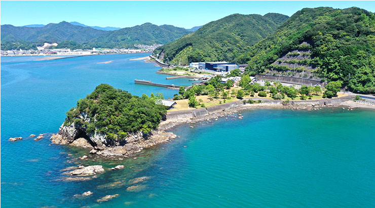 直七の産地、高知県 宿毛（すくも）市