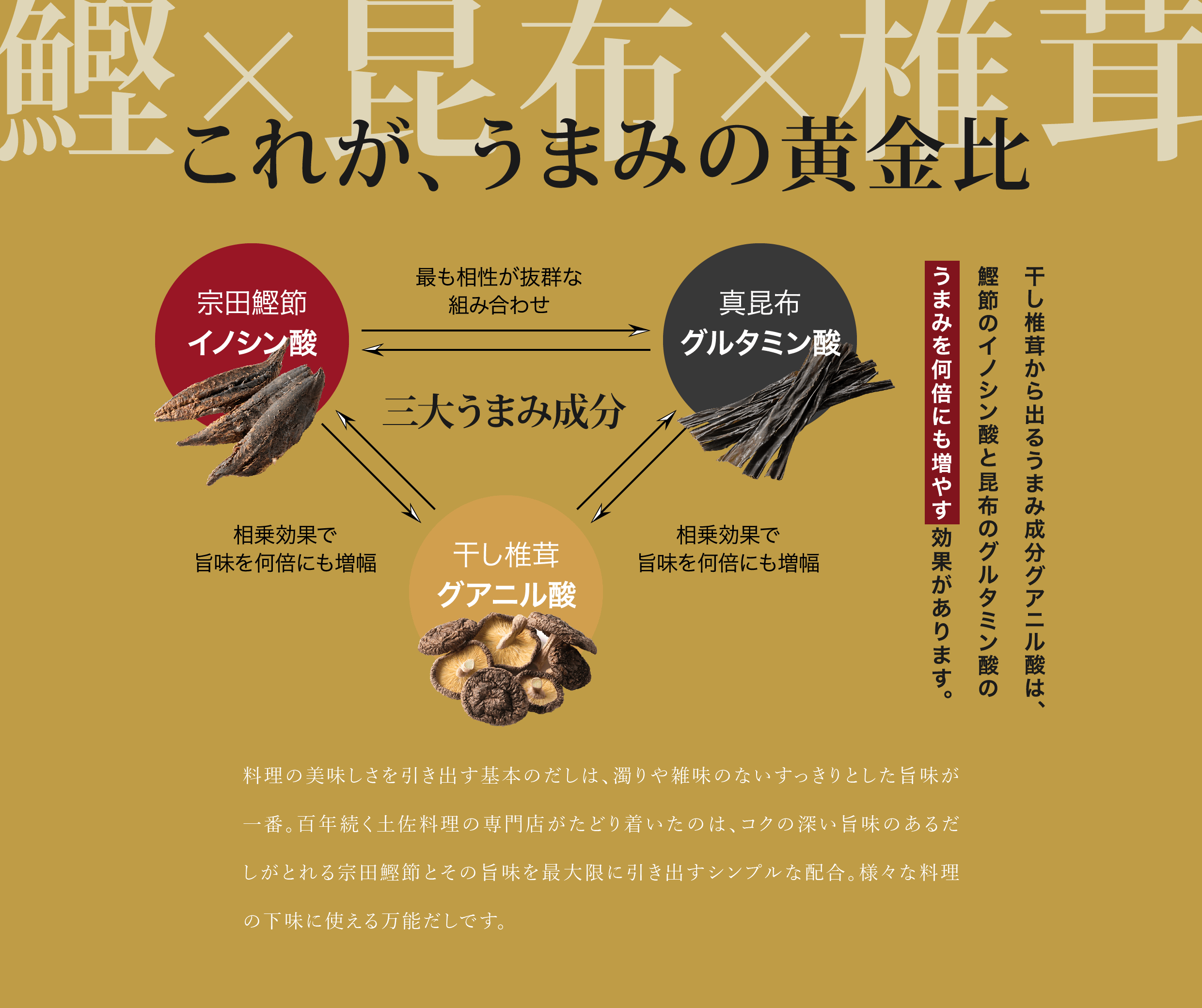 うまみの黄金比