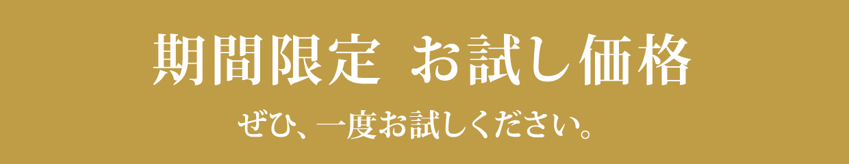 期間限定お試し価格