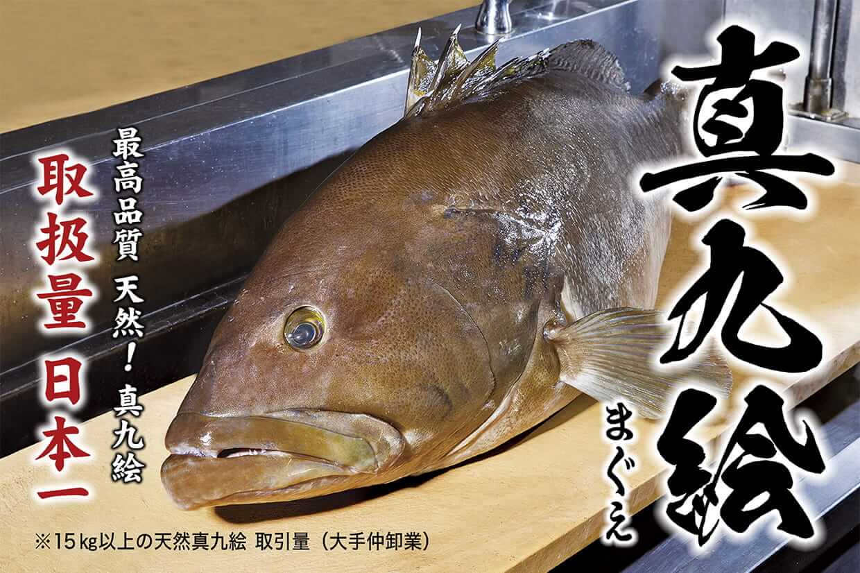 天然のクエ鍋をご家庭で ねぼけのお取り寄せ鍋 天然のクエ鍋をご家庭で ねぼけのお取り寄せ鍋